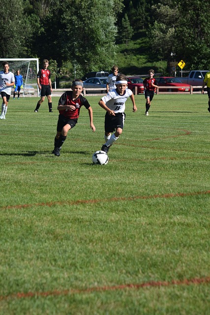 极大地增强 极大地增强