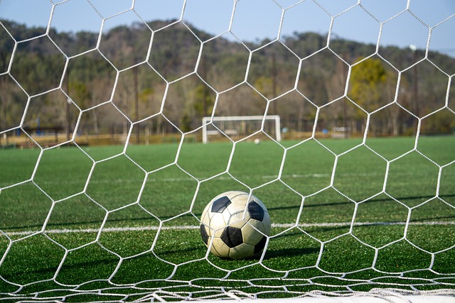 但培养强大 但培养强大