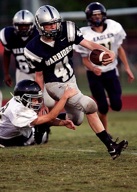 詹姆斯公开 詹姆斯公开