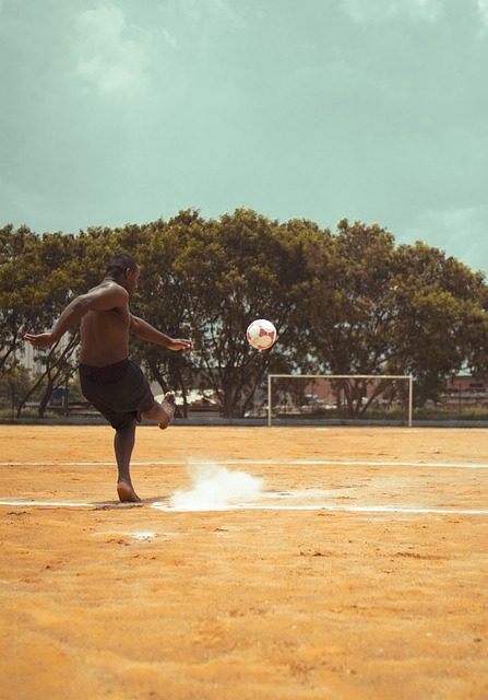 季起到了至 季起到了至