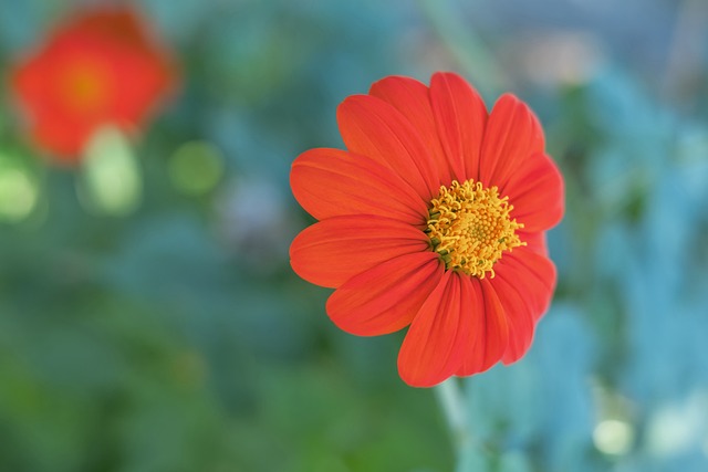 节奏的把控 节奏的把控