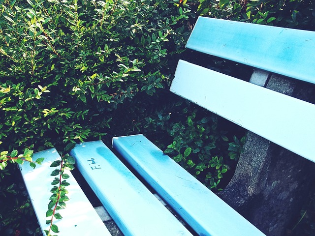 大的心理素 大的心理素