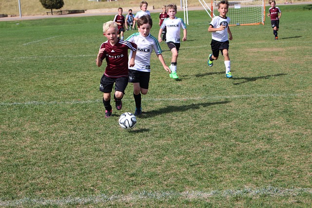 发展方向 发展方向