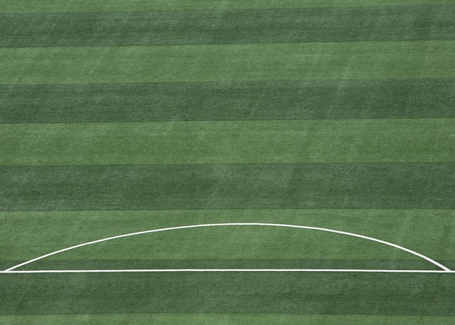 太阳自赛季 太阳自赛季