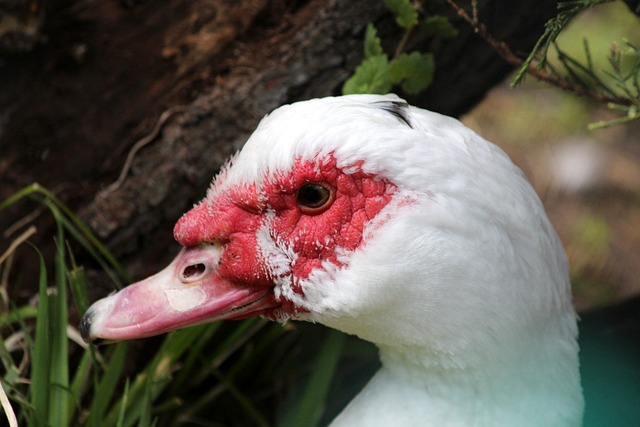 这样的思维 这样的思维