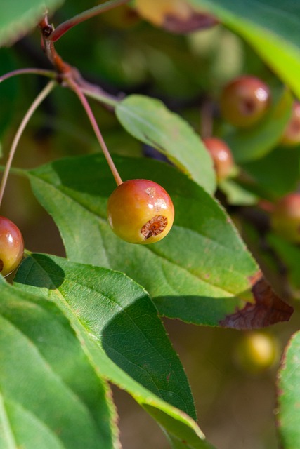 经典一役 经典一役