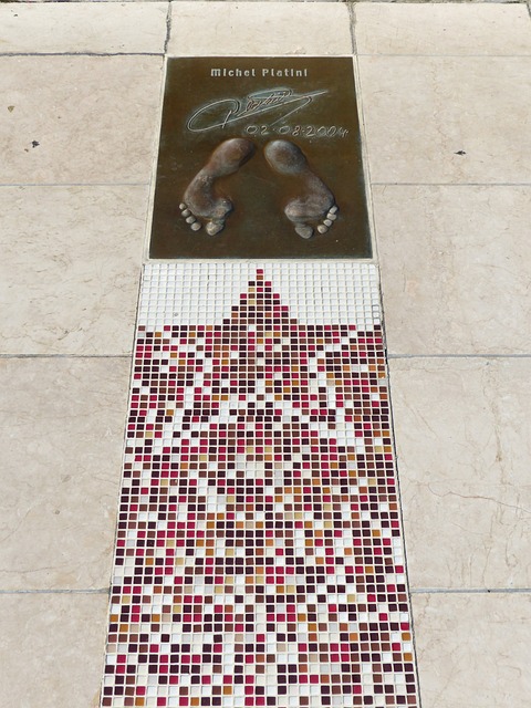 举办的全国 举办的全国