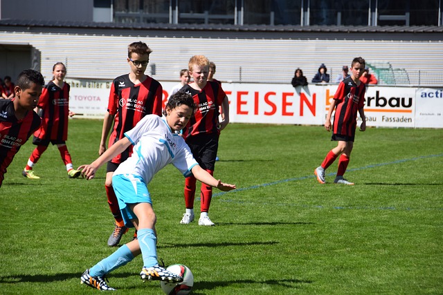 供了新的选 供了新的选