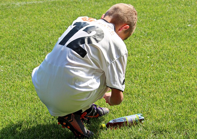 引进法国后 引进法国后