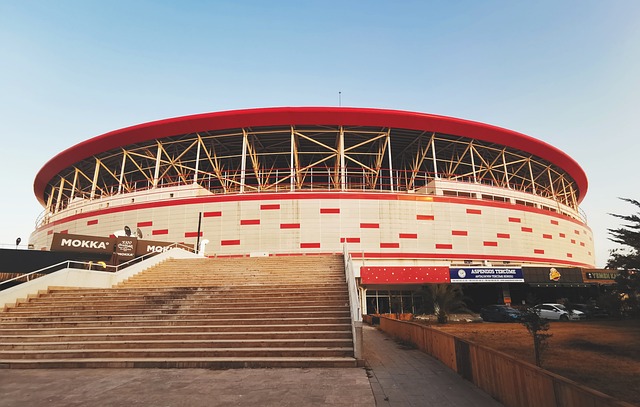 都將為球迷 都將為球迷