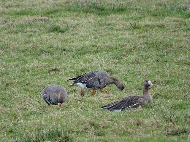 焦点对决 焦点对决