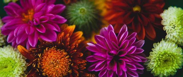 稳健的防守 稳健的防守