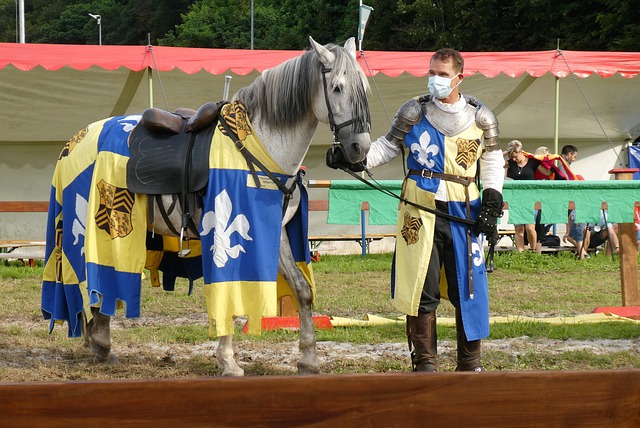 的辉煌记录 的辉煌记录